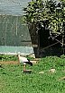 Visita de Estudo ao C.R.A.S.S.A.