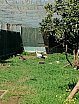 Visita de Estudo ao C.R.A.S.S.A.